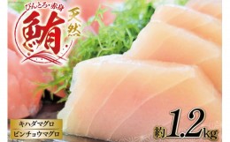 【ふるさと納税】【びんとろ】【赤身】天然鮪セット 各300g×2袋 合計約1.2kg [大長増田商店 静岡県 吉田町 22424143] 鮪 マグロ まぐろ 