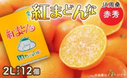 【ふるさと納税】【先行予約】 周ちゃん広場より発送 「 紅まどんな 」 （赤秀　2Lサイズ12個入り）　2024年12月発送  紅まどんな 柑橘 