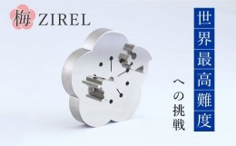 【ふるさと納税】梅ZIREL【026-010】