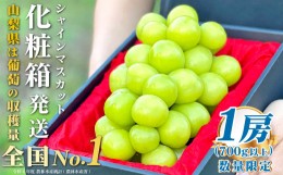 【ふるさと納税】5-49 【2024年発送】山梨県産 シャインマスカット1房(700g以上)ふるさと納税