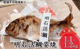 【ふるさと納税】明石活鯛姿焼 1100〜1200g[ 明石鯛 鯛 焼鯛 祝い鯛 お祝い ]