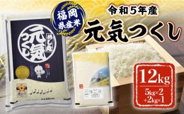 【ふるさと納税】米 12kg 令和5年産 元気つくし 福岡県産 お米