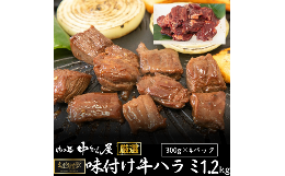 【ふるさと納税】お肉讃歌牛ハラミ秘伝の赤だれ1.2kg （300g×4パック）＜肉の匠 中むら屋厳選＞  【1239】