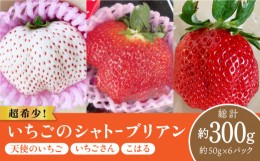 【ふるさと納税】超希少！いちごの シャトーブリアン 大粒 いちご  約50g×6粒（計300g以上）【ひかるのうえん】 [IBI006]