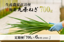 【ふるさと納税】【6か月定期便】生産農家直送 京野菜・九条ねぎ1kg〈定期便 ねぎ ネギ 葱 九条ねぎ 京野菜 京都 新鮮 甘い 農家直送 野