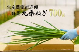 【ふるさと納税】生産農家直送 京野菜・九条ねぎ700g〈ねぎ ネギ 葱 九条ねぎ 京野菜 京都 新鮮 甘い 農家直送 野菜〉