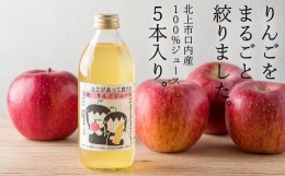 【ふるさと納税】果汁100％　リンゴジュース　（350ml×5本）