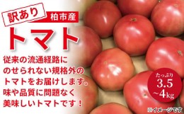 【ふるさと納税】柏市産訳ありトマト　3.5kg〜4kg