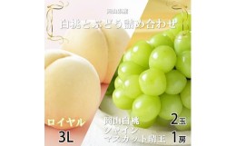 【ふるさと納税】＜先行予約＞【2024年7月発送開始】岡山白桃ロイヤル3Lサイズ300g×2玉・シャインマスカット晴王600g×1房 TY0-0245