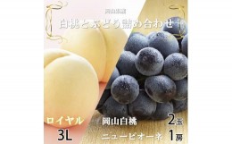 【ふるさと納税】＜先行予約＞【2024年7月発送開始】岡山白桃ロイヤル3Lサイズ300g×2玉・ニューピオーネ600g×1房 TY0-0251