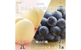 【ふるさと納税】＜先行予約＞【2024年7月発送開始】岡山白桃エース2Lサイズ250g×2玉・ニューピオーネ500g×1房 TY0-0254