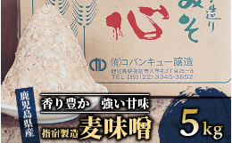 【ふるさと納税】鹿児島県指宿製造の麦味噌5kg(コバンキュー醸造/A-432) みそ 麦 味噌汁 和食