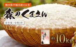 【ふるさと納税】米 精米 10？ 送料無料 森のくまさん 白米 約10kg 令和5年産 お米 コメ ごはん ご飯 国産 熊本県産 九州 熊本県 【11月