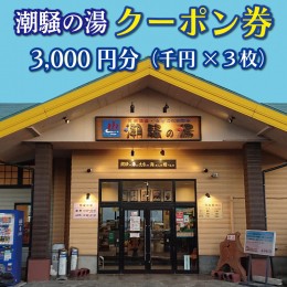 【ふるさと納税】天然温泉 潮騒の湯 クーポン券 3000円分（1000円×3枚） 露店風呂 サウナ おんせん 大洗サンビーチ 海鮮 魚介 食事 宿泊