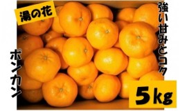 【ふるさと納税】湯の花　ポンカン５kg箱セット　【 5Kg ポンカン みかん 果物 フルーツ 旬 柑橘 甘い 新鮮 】