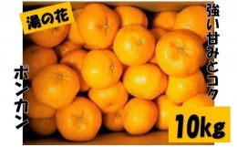 【ふるさと納税】湯の花　ポンカン10kg箱セット　【 10Kg ポンカン みかん 果物 フルーツ 旬 柑橘 甘い 新鮮 】