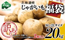 【ふるさと納税】【先行予約】【訳あり】北海道森町産 じゃがいも福袋20kg （2024年8月上旬〜12月中旬までに順次お届け） 野菜 ジャガイ