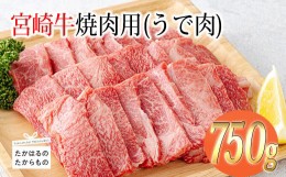 【ふるさと納税】宮崎牛焼肉用（うで肉）約750g 