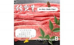 【ふるさと納税】FD006　佐賀のお肉バラエティセットＢ