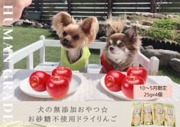 【ふるさと納税】FB148　【10月〜5月末まで順次発送】犬の無添加おやつ☆お砂糖不使用ドライりんご４個