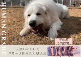 【ふるさと納税】FB147  大型犬向け☆天然いのししのスモーク骨ガム6本【定期便】全12回