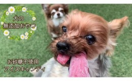 【ふるさと納税】FB137 　【5月〜9月発送】犬の無添加おやつ☆お砂糖不使用無添加アイスキャンディ