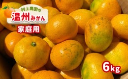 【ふるさと納税】ご家庭用 温州みかん 約6kg 村上農園 | フルーツ 果物 くだもの 柑橘 柑橘類 みかん ミカン 温州ミカン 熊本県 玉名市