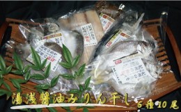 【ふるさと納税】和歌山の近海でとれた新鮮魚の梅塩干物と湯浅醤油みりん干し6品種10尾入りの詰め合わせ