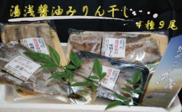 【ふるさと納税】和歌山の近海でとれた新鮮魚の湯浅醤油みりん干し4品種9尾入りの詰め合わせ