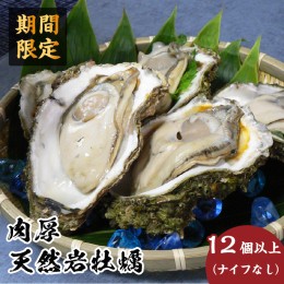 【ふるさと納税】先行予約 秋田の肉厚な天然岩牡蠣（岩ガキ 12個以上）ナイフ無し