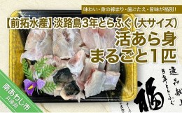 【ふるさと納税】【冷蔵配送】淡路島3年とらふぐ（大サイズ）活あら身まるごと1匹◆配送10月8日〜3月31日