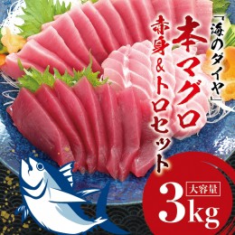 【ふるさと納税】プレミア和歌山認証品 本マグロ（養殖）トロ＆赤身セット　3kg 【1ヶ月以内に発送】まぐろ 刺身 鮪 本鮪 クロマグロ 赤