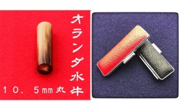 【ふるさと納税】オランダ水牛10.5mm（5書体）牛革ケース（赤）