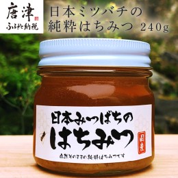 【ふるさと納税】日本ミツバチの純粋はちみつ 240g 瓶 自然 蜜「2024年 令和6年」