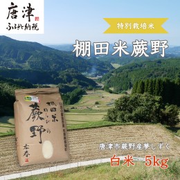 【ふるさと納税】特別栽培棚田米「蕨野」5kg×1袋(合計5kg) 家庭排水が一切入らない自然水で作られたお米 10日に1回精米で新米のような味