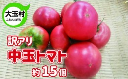 【ふるさと納税】訳あり 野菜 不揃い トマト 中玉(5cm〜8cm) 約15個 新鮮 夏野菜 大玉村 もったいない野菜 【01091】 とまと SDGs 余剰野