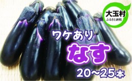 【ふるさと納税】訳あり 野菜 不揃い ナス 20本〜25本 新鮮 夏野菜 大玉村 もったいない野菜 【01092】 なす 茄子 SDGs 余剰野菜 フード