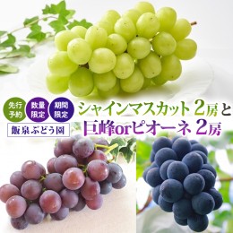 【ふるさと納税】【 先行予約 】【 数量限定 】【 期間限定 】 絶品 ！  飯泉ぶどう園 の おすすめ ぶどう 2種（ シャインマスカット ＆ 