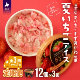 【ふるさと納税】果肉55%「夏いちごアイス(12個)」【全3回定期便】[22-1142]