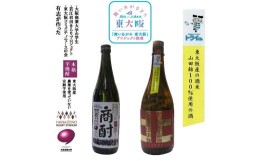 【ふるさと納税】【原料が東大阪産】 日本酒と芋焼酎　各720ml瓶　2本セット