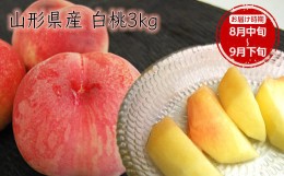 【ふるさと納税】《先行予約 2024年度発送》【山形県産】白桃3kg(7〜12玉) FSY-0386