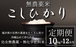 【ふるさと納税】【新米 令和5年産／白米】【定期便12回】無農薬米10？×12回（こしひかり）