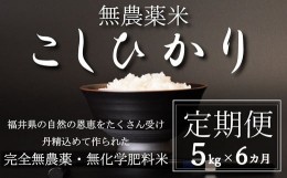 【ふるさと納税】【新米 令和5年産／玄米】【定期便6回】無農薬米5？×6回（こしひかり）