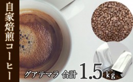 【ふるさと納税】No.116 あらき園 自家焙煎コーヒー グアテマラ 1.5kg ／ 珈琲 上品 コク 茨城県