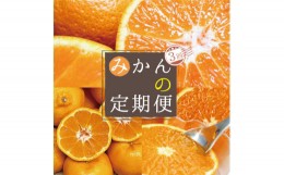 【ふるさと納税】【3か月定期便】人気の柑橘を集めた！みかんの定期便