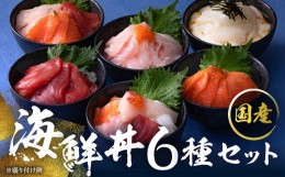 【ふるさと納税】【純国産】数量限定！海鮮丼の具の贅沢６種類セット