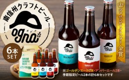 【ふるさと納税】南信州クラフトビール「Ogna」６本セット