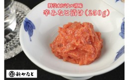 【ふるさと納税】【A17-02】辛みなと漬け（250g）