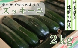 【ふるさと納税】【発送時期：2024年3月〜5月】熊本県ＪＡくま産　球磨のズッキーニ　2kg