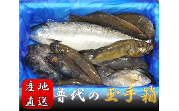 【ふるさと納税】＜新鮮・産地直送＞普代の玉手箱【魚介詰め合わせ】